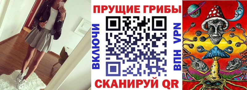 что такое   кракен как войти  Псилоцибиновые грибы прущие грибы  Теберда 
